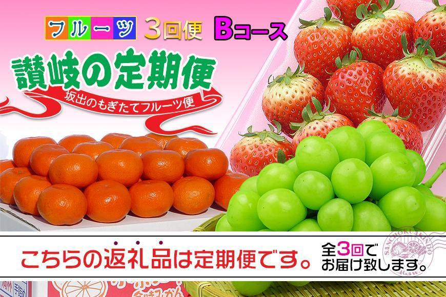 
【定期便3回Bコース】 フルーツ セット 定期便 ( いちご 約250g × 4パック & シャインマスカット 1房 約600g以上 & みかん 約5kg × 3ヶ月 ) ｜産直あきんど 坂出産 創業100年
