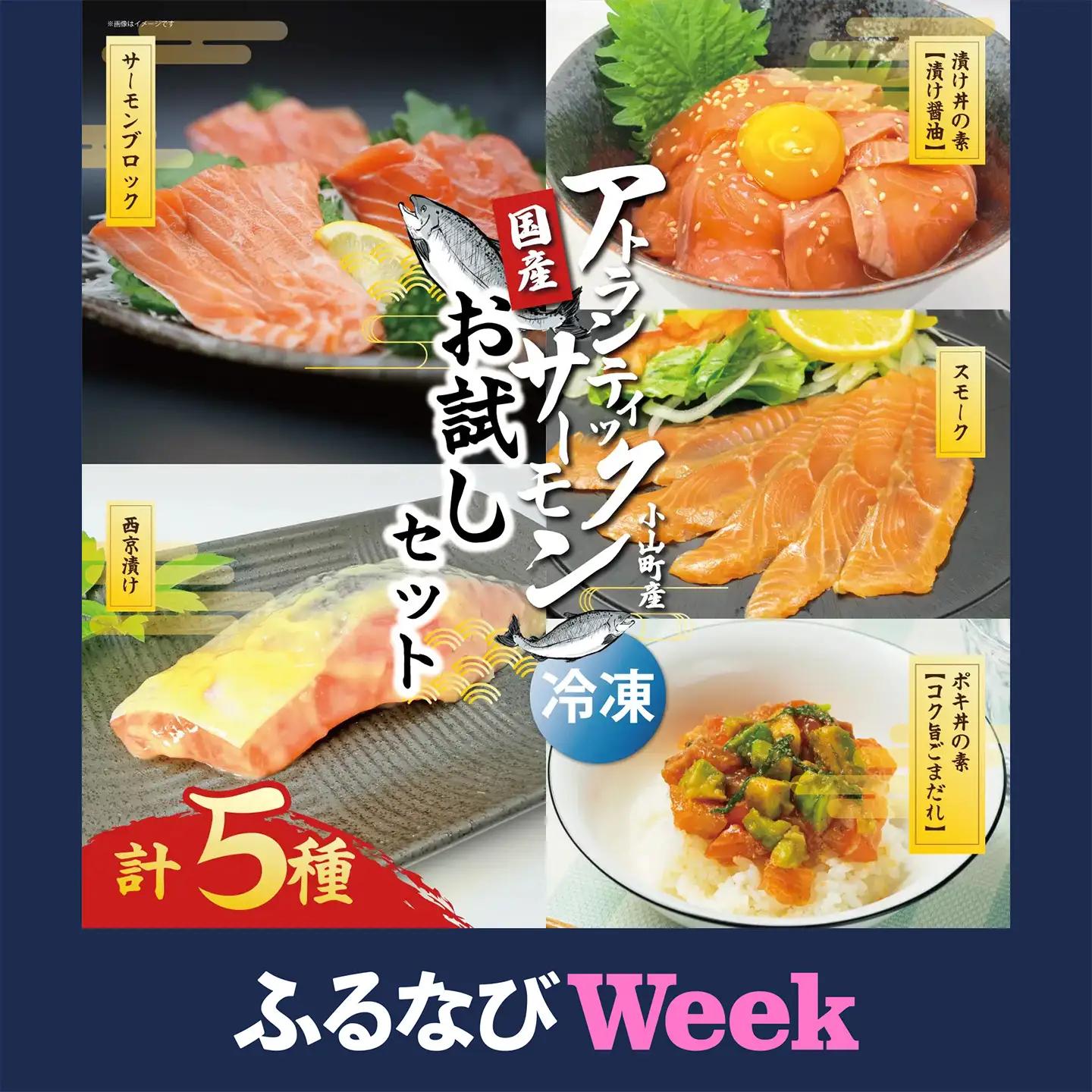 【ふるなびWEEK対象】小山町産アトランティックサーモン（冷凍）お試しセット（サーモンブロック有り）