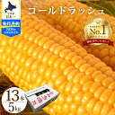 【ふるさと納税】楽天 ランキング 連続 1位 獲得 とうもろこし【2025年8月上旬から下旬にお届けします】北海道産 とかち晴れ ゴールドラッシュ 13本入 2L 5kg スイートコーン 人気 朝採り 産地直送 甘い 送料無料 期間限定 数量限定 JA 北海道 十勝 芽室町 めむろ