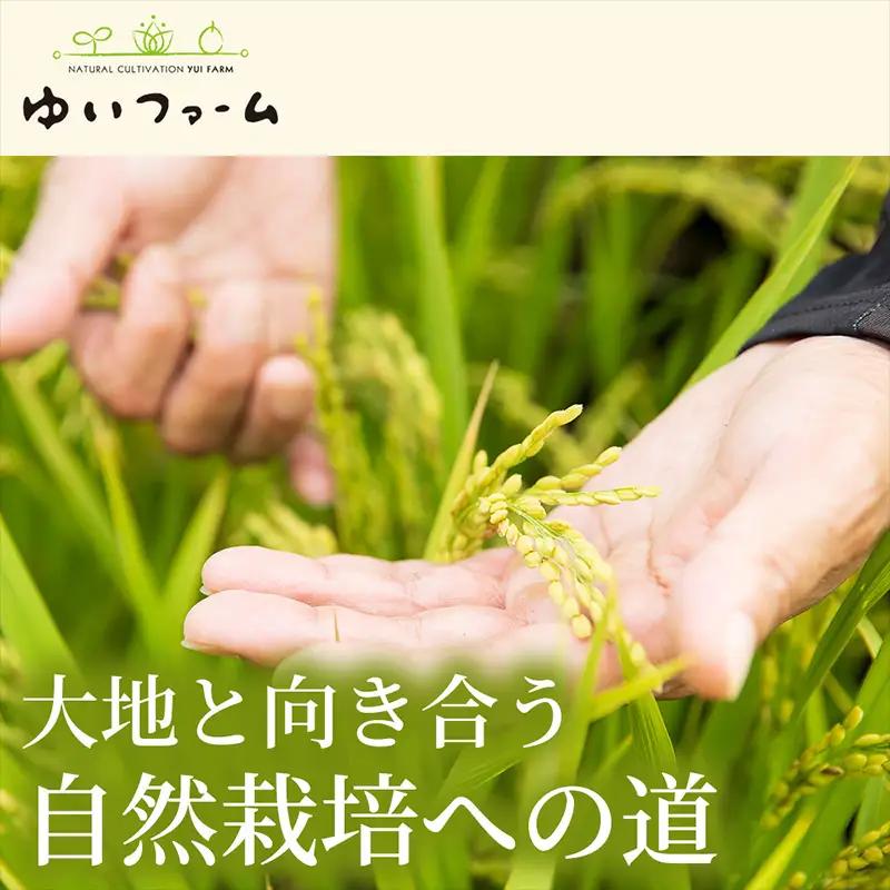 【2つの味わいを楽しむ】自然栽培米 ヒノヒカリ(玄米)・自然栽培米 夢しずく(玄米) 各2kg×1袋 1セット 食べ比べ米 お米セット 詰め合わせ 毎日ごはん 贅沢ごはん 厳選お米
