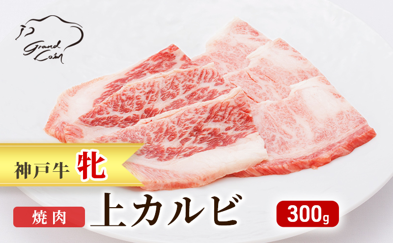 神戸ビーフ 神戸牛 牝 上カルビ 焼肉 300g 川岸畜産 冷凍 肉 牛肉