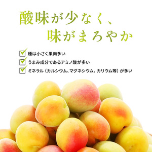 梅酒 750ml 梅 無糖 甘くない梅酒 高評価 うめ ウメ 梅酒