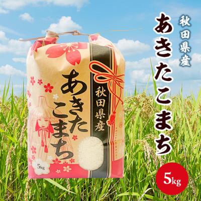 ふるさと納税 八郎潟町 あきたこまち 5kg【白米】令和7年産 秋田県産 こまちライン
