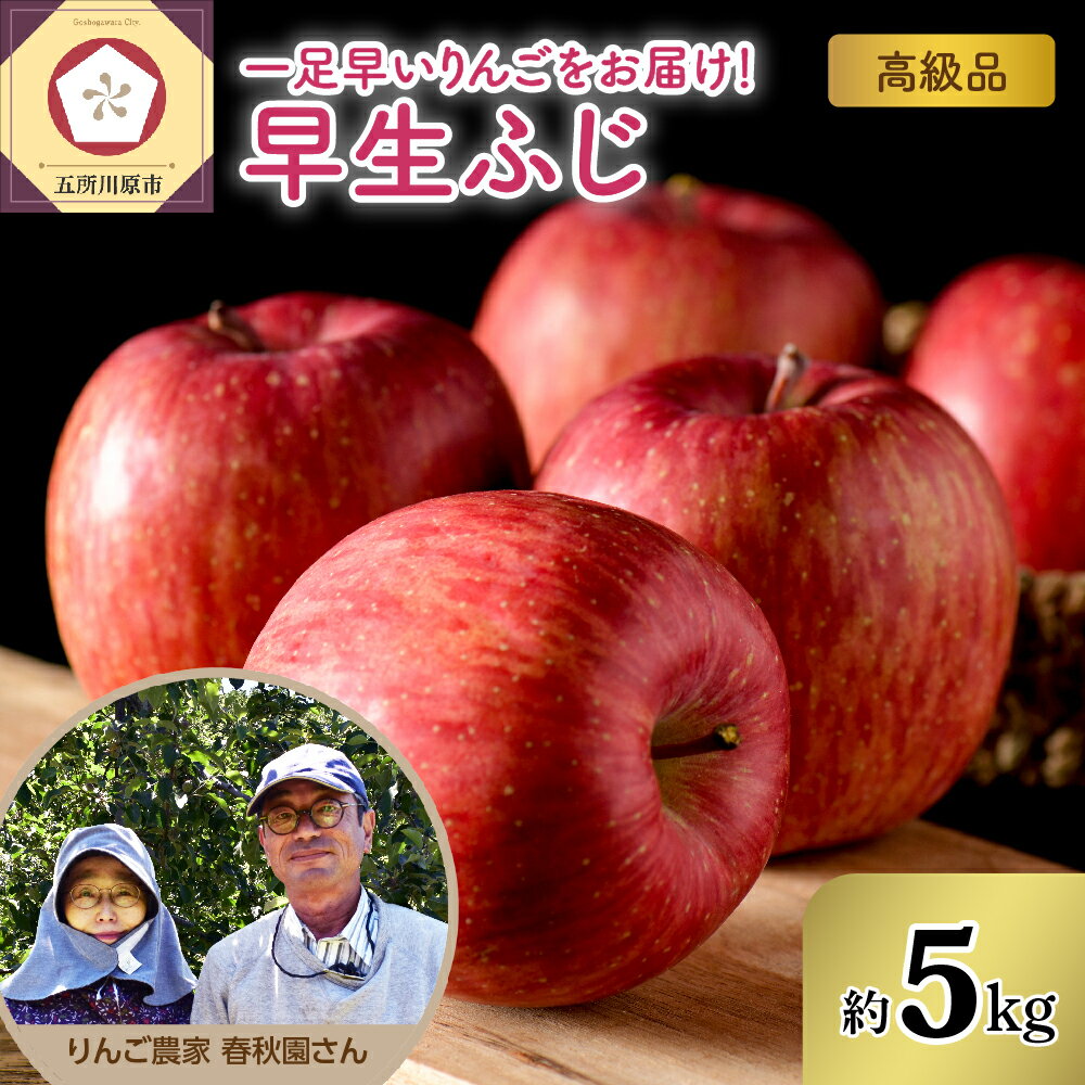 【ふるさと納税】《 先行予約 2025年10月上旬発送》 早生ふじ 5kg / りんご 林檎 アップル 贈り物 ギフト 贈答用 常温保存 秋 旬 果物 くだもの フルーツ 青森県 五所川原市