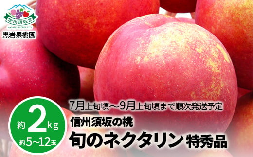 [No.5657-3881]信州須坂の桃 旬のネクタリン 特秀品 約2kg (約5～12玉) 《黒岩果樹園》■2025年発送■※7月上旬頃～9月上旬頃まで順次発送予定