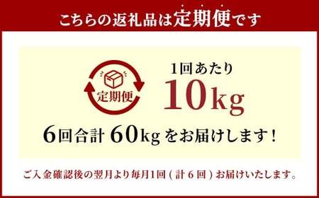 【6ヶ月定期便】大分県産 ひとめぼれ 10kg×6回 計60kg