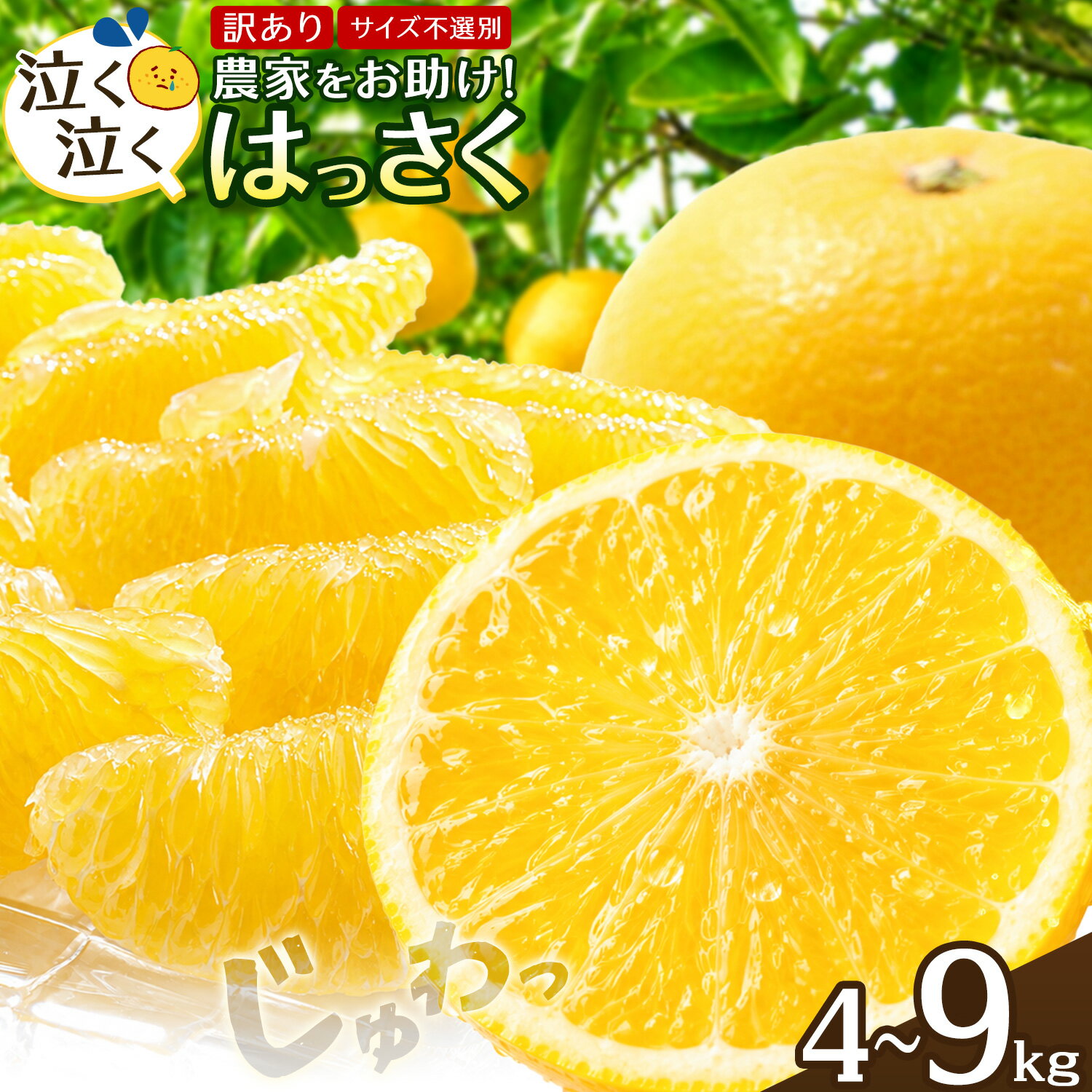 【ふるさと納税】八朔 はっさく 訳あり サイズ不選別 選べる 4kg 9kg 《出荷時期をお選びください》八朔 柑橘 果物 フルーツ 柑橘類 規格外 傷あり 送料無料 徳島県 美馬市