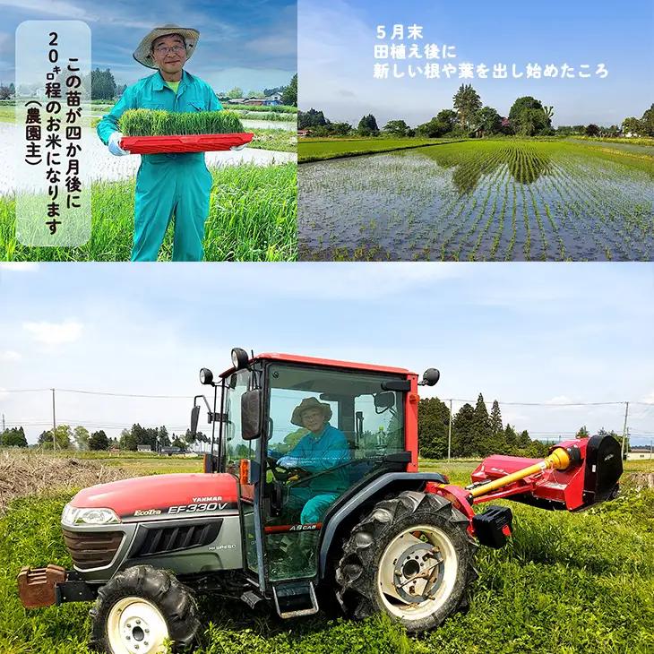 【令和8年産】【6ヶ月定期便】銀河のしずく 厳選プレミアム　玄米2kg【2236】
