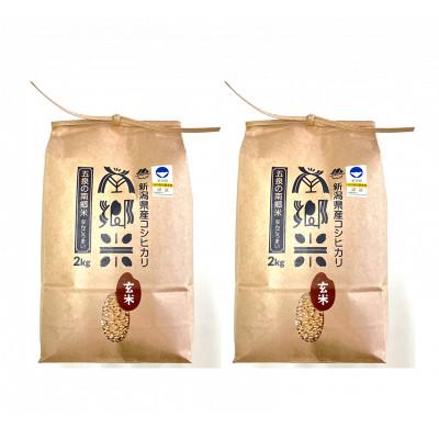 ふるさと納税 五泉市 令和7年産 特別栽培米 隠れたお米の名産地!新潟県五泉産コシヒカリ「南郷米」玄米4kg |  | 01