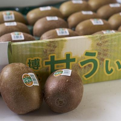 ふるさと納税 須恵町 福岡限定!ブランドキウイ「甘うぃ(あまうぃ)」約3kg箱(24-30玉)(須恵町) |  | 01