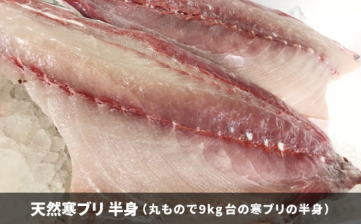 【11/1〜1/15お届け 年末年始用】壱岐島産天然寒ブリ（一本丸ものサイズ9キロ台 半身ブロック）《壱岐市》【壱岐島 玄海屋】 [JBS104]