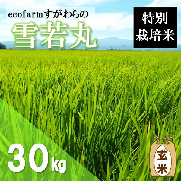 
                  【令和8年産・玄米】ecofarmすがわらの特別栽培米雪若丸30kg ※10月上旬頃から順次配送
                