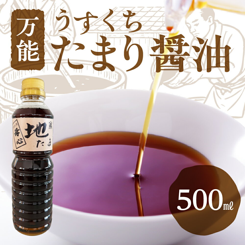 【ふるさと納税】醤油 うすくち母心地たまり 500ml 1本 しょうゆ 薄口醤油 ペットボトル / 食品 調味料 セット 詰め合わせ 5000円[G0147]