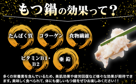 もつ鍋 博多 牛もつ鍋 セット 3~4人前 株式会社木村食品《90日以内に出荷予定(土日祝除く)》福岡県 鞍手郡 小竹町 牛 牛肉 もつ 鍋 送料無料