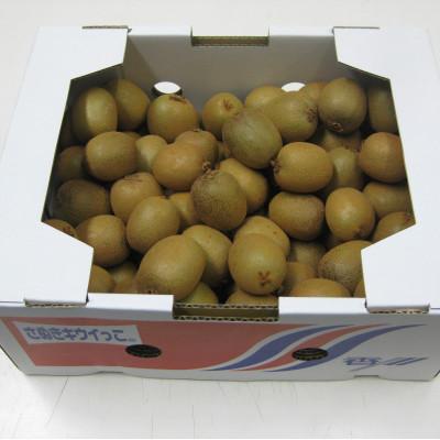 ふるさと納税 坂出市 さぬきキウイっこ　約2kg |  | 01
