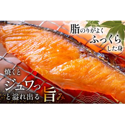 ふるさと納税 気仙沼市 定期便 《3ヶ月連続お届け》 訳あり 銀鮭 切身 約2kg×3回 計6kg [20564481] |  | 01