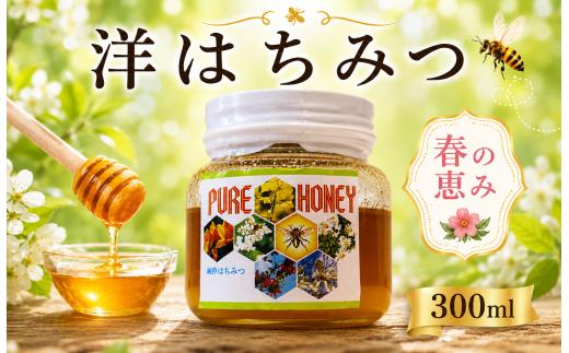 はちみつ 国産 洋はちみつ 300g 西洋みつばち 洋 蜂蜜 蜜蜂 みつばち 純粋はちみつ ハニー 美容 健康 栄養豊富 コーヒー 紅茶 レモン ミルク ジンジャー スイーツ ヨーグルト パンケーキ トースト 保存食 菓子 産地直送 徳島県 三好市 みよし