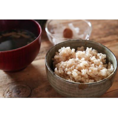 ふるさと納税 南魚沼市 【令和7年産新米】南魚沼君沢産こしひかり　白燦々5kg【玄米】(従来品種) |  | 01