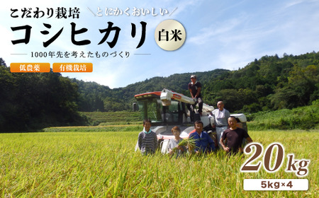 京都府産 低農薬 有機栽培コシヒカリ20kg【 米 20キロ 精米 白米 こめ コメ お米 おこめ こしひかり 有機栽培米 減農薬 】