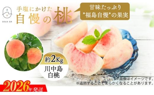 No.2671もも「川中島白桃」約2kg【2026年発送 先行予約】