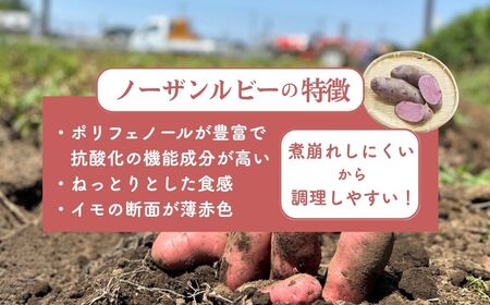 ＜先行予約＞じゃがいも ノーザンルビー 5kg | じゃがいも じゃがいも じゃがいも じゃがいも じゃがいも