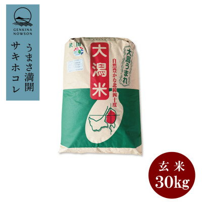 【ふるさと納税】予約受付開始!秋田県産　サキホコレ30kg　1等　玄米【令和7年産】《11月初旬より発送》【配送不可地域：離島・沖縄県】【1463504】