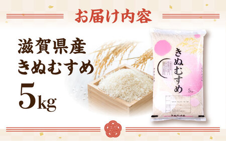 【令和7年産新米】きぬむすめ 5kg 白米 [AQDH005] きぬむすめ 白米