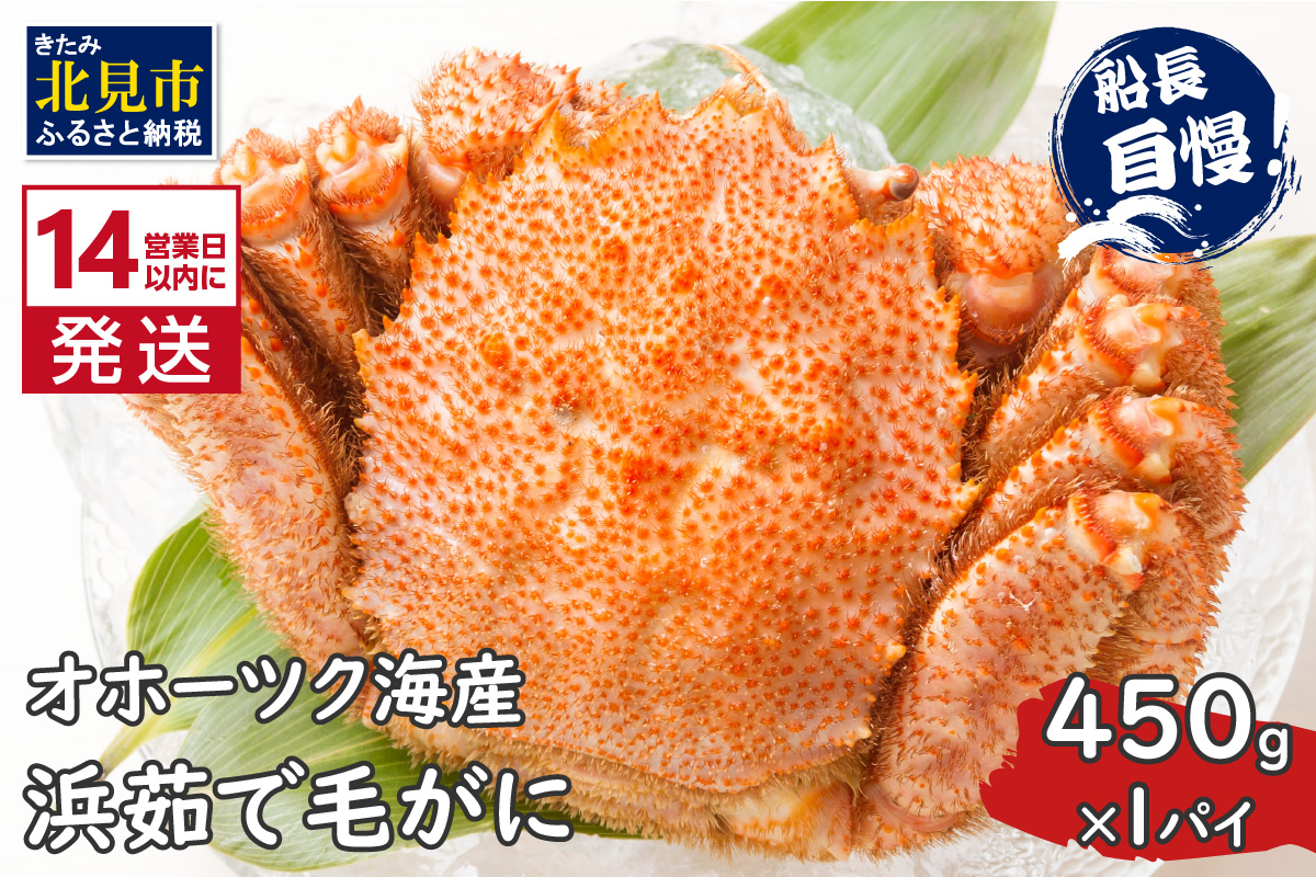 《14営業日以内に発送》オホーツク海産 浜茹で毛がに 450g×1パイ 冷凍 ( かに カニ 毛ガニ 魚介類 蟹 )【114-0019-2025】