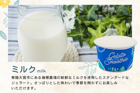 Gelato＆Smoothie ミルクジェラート 12個 スイーツ アイス ミルク 【ジェラート】【ho1384】