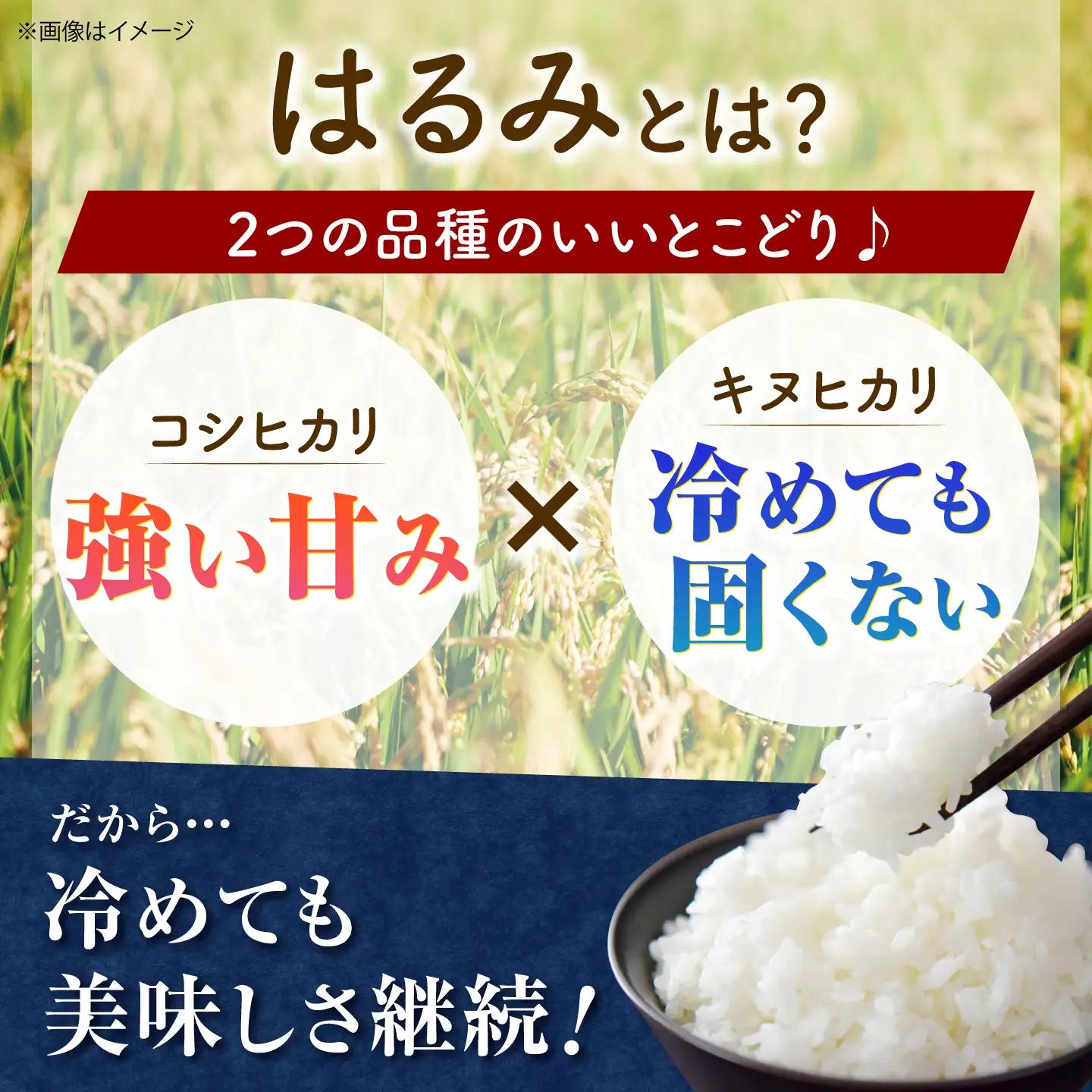 【令和8年産新米予約】【特Aランク受賞実績あり！】はるみ 10kg【井上農園】 米 お米 精米 白米 はるみ[BDBB006-2]