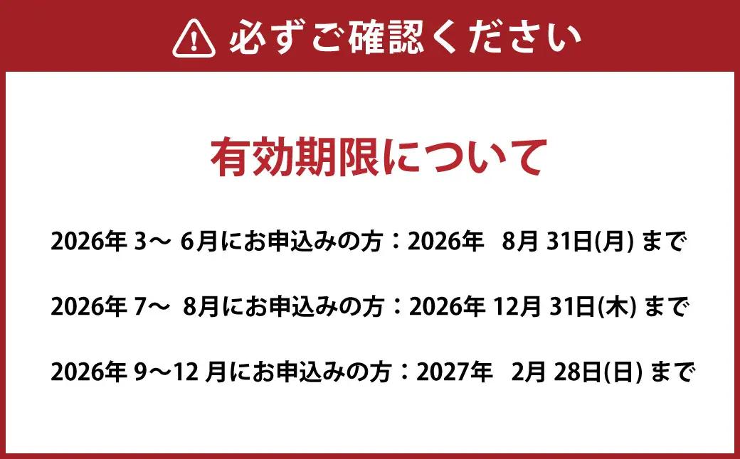 ナガシマリゾート ナガシマスパーランドパスポート券【有効期限有り】 おとな2名 遊園地 テーマパーク 人気 絶叫 アトラクション ファミリー 観光 レジャー チケット 三重 桑名 長島