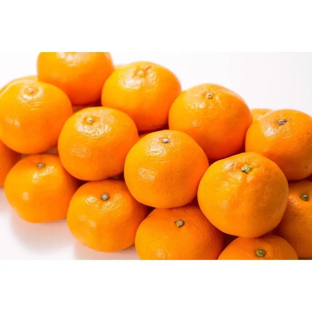 ブランド有田みかん［Ｓサイズ］秀品 5kg／産地直送／薄皮で甘い美味しい和歌山県産／紀伊国屋文左衛門本舗