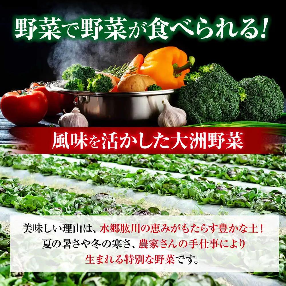 【全3回定期便 】【2ヶ月に1回】クリーン白米 5kg+旬野菜[AGBX040] お米 定期便