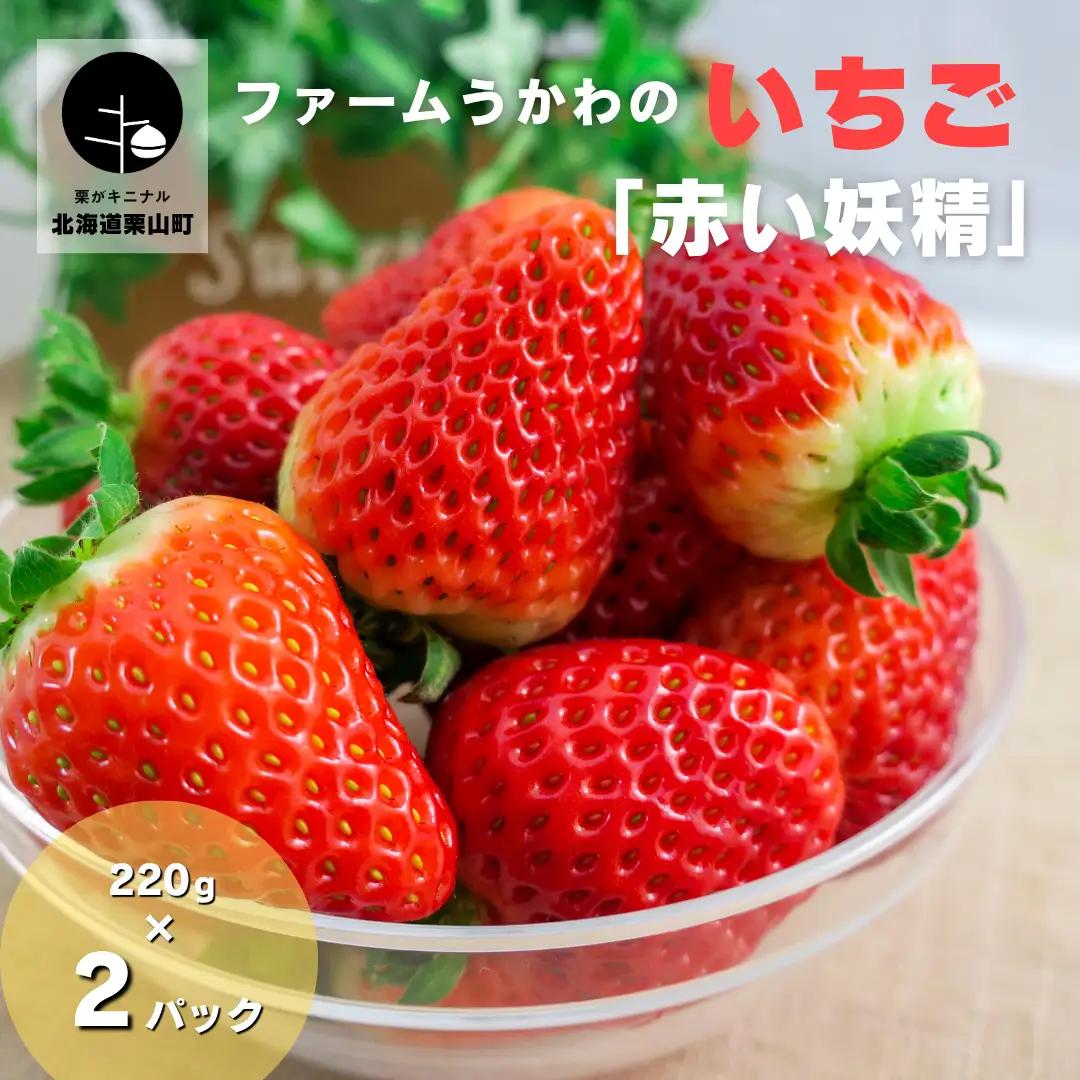 もぎたて！ファームうかわのいちご「赤い妖精」2パック