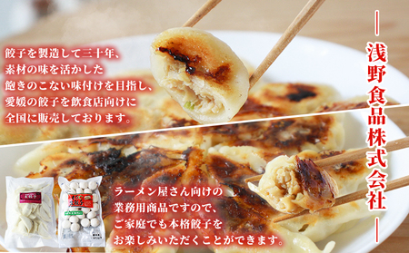 ＜愛媛のおいしい餃子セット もっちり餃子 合計125個(25個×5袋)＞ぎょうざ ギョーザ 餃子 国産 丸餃子 もっちり 国産野菜 ブランド豚 鍋 浅野食品 愛媛県 西予市【冷凍】『1か月以内に順次出