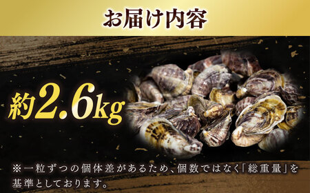 養殖カキ 約2.6kg [RCN002] 牡蠣 牡蠣 牡蠣 牡蠣 牡蠣 牡蠣九州 長崎  