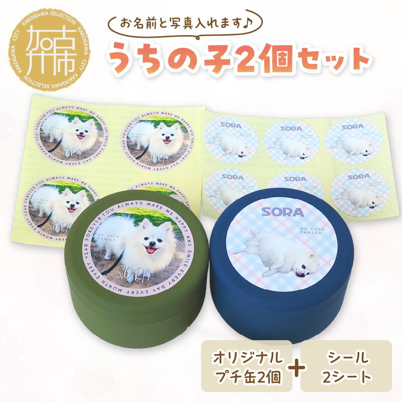 【ふるさと納税】うちの子2個セット オリジナルプチ缶2個+シール2シート 《 犬 ケア 缶 セット 詰め合わせ オリジナル シール 》