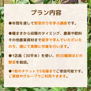 年間を通した野菜作り「土の学校」（1組5名まで） 〈 学び 食育 収穫 農業 野菜 子供 親子 農作物 ふるさと納税 柏 〉