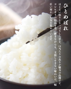 【令和6年産新米】 平泉町産 特別栽培米ひとめぼれ 5kg 農薬50%削減 体に優しい 棚田のお米 【米 お米 ひとめぼれ 平泉 米 白米 こめ 岩手 東北 日本農業遺産】米 米 米 米 米 米 米 