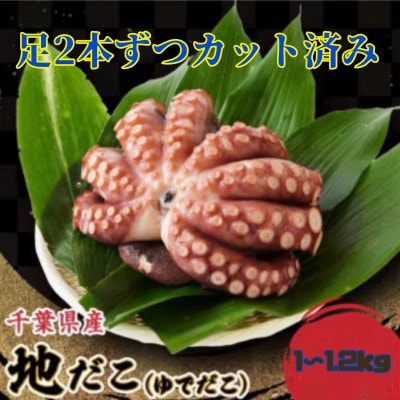 地だこカット(ゆでだこ) 1～1.2kg【配送不可地域：離島】