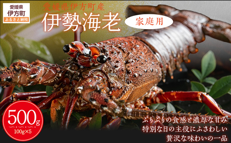 【家庭用】伊勢海老（2～5尾・総量1kg） ※離島への配送不可（2025年9月より順次発送） IKTB028 