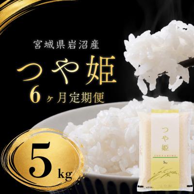 ふるさと納税 岩沼市 【令和8年産 】定期便 6ヶ月 つや姫 5kg 新米 精米 岩沼産 東北 宮城県産 宮城米