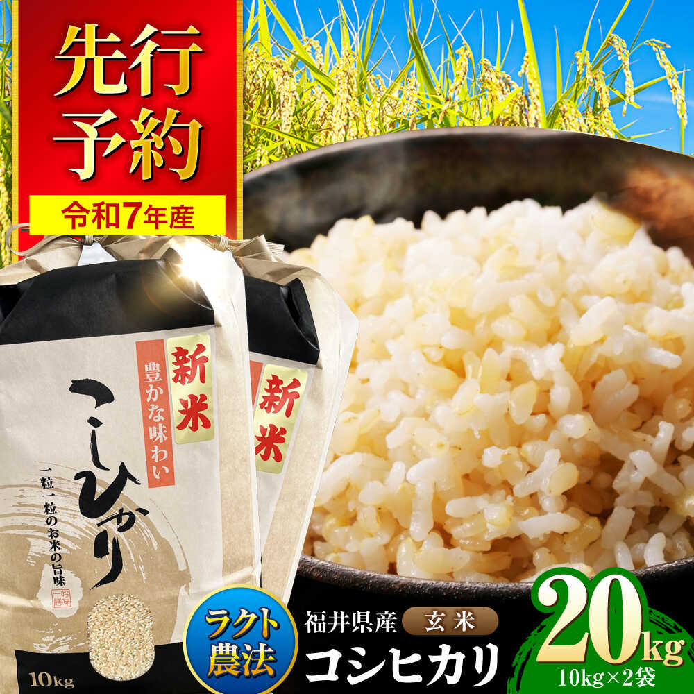 【ふるさと納税】【新米】【令和7年産】 福井県産 ラクト農法 コシヒカリ 玄米 10kg×2 （20kg） / 小浜市 / 北川博司[BFDG007]