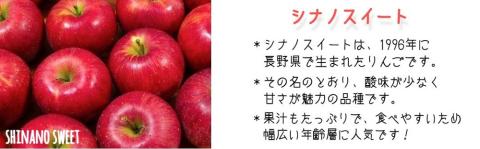 りんご シナノスイート 秀 ～ 特秀 5kg 渡辺農園 沖縄県配送不可 2024年10月中旬～2024年11月上旬順次発送予定 令和6年度収穫分 エコファーマー 減農薬 長野県 飯綱町 [0171]