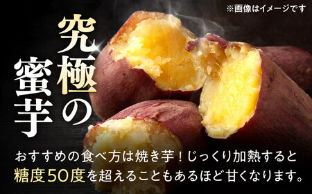紅はるか さつまいも 秀品 約5kg S?2Lサイズ混合 さつまいも[AYAT004]