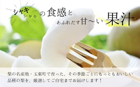さかもと果樹園の玉東梨 甘太梨 約5kg (6玉-18玉前後) 《9月中旬-9月下旬頃出荷》【日付指定・品種指定不可】 熊本県玉名郡玉東町 ｜なし フルーツ ナシ 果物 熊本県梨 玉東町梨
