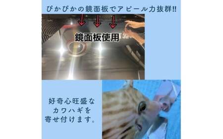 カワハギ集寄板　「カワハギさん寄っといで」2枚入り5セット