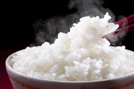 【令和8年】先行予約　近江米『きらみずき』　化学肥料不使用米　10キロ（鮮度保持袋）