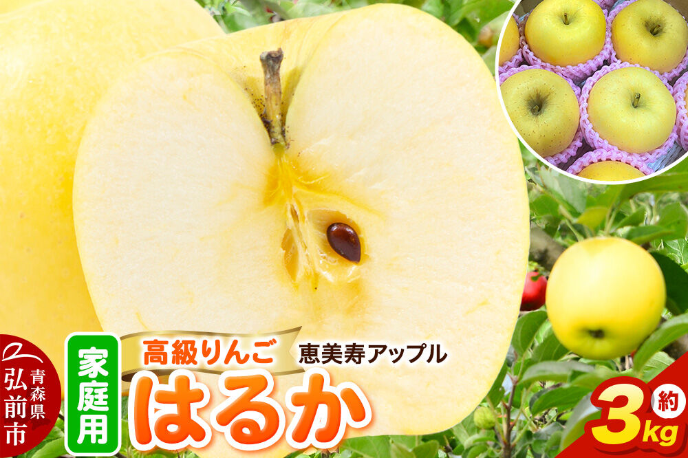 【26年12月発送】りんご【高級りんご・はるか】はるか【家庭用】約3kg 先行受付 青森県 弘前市 果物 フルーツ 林檎 リンゴ くだもの 不揃い 規格外 [先行予約 産地直送 アップル おいしい 果