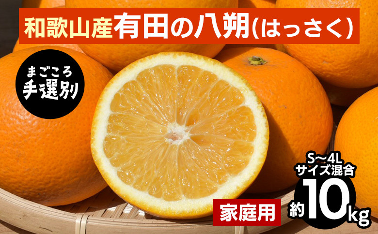 
            【まごころ手選別】有田の八朔(はっさく)約10kg(S～4Lサイズ混合)家庭用 ※2026年1月上旬～3月下旬頃に順次発送予定
          